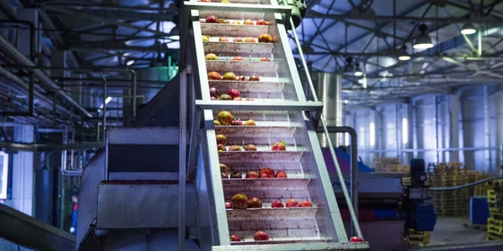 Великий соковый путь: почему гранатовый сок везут в Москву из Азербайджана