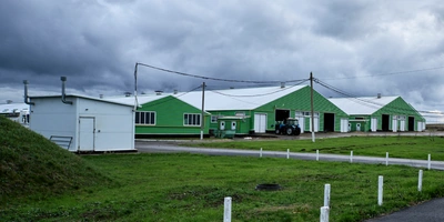 В место тысячи козлов: где и как производят альтернативный адыгейский сыр