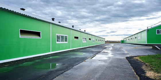 В место тысячи козлов: где и как производят альтернативный адыгейский сыр