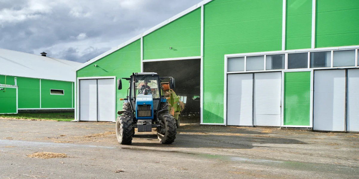 В место тысячи козлов: где и как производят альтернативный адыгейский сыр