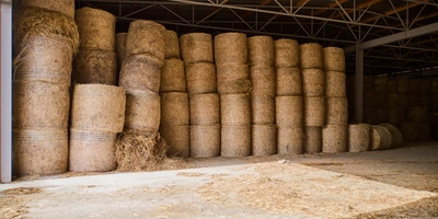 В место тысячи козлов: где и как производят альтернативный адыгейский сыр