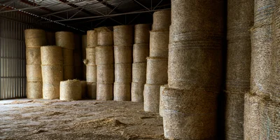 В место тысячи козлов: где и как производят альтернативный адыгейский сыр