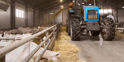 В место тысячи козлов: где и как производят альтернативный адыгейский сыр