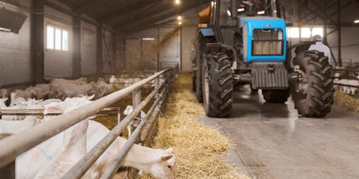 В место тысячи козлов: где и как производят альтернативный адыгейский сыр