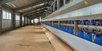 В место тысячи козлов: где и как производят альтернативный адыгейский сыр