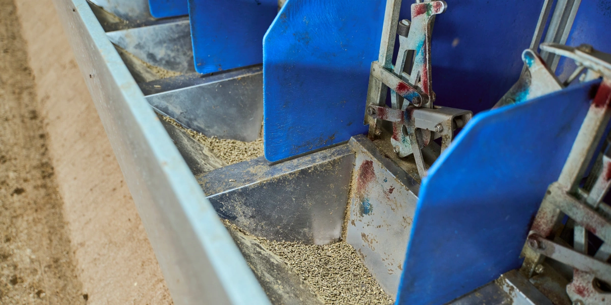 В место тысячи козлов: где и как производят альтернативный адыгейский сыр