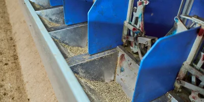 В место тысячи козлов: где и как производят альтернативный адыгейский сыр