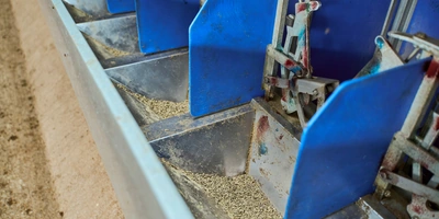 В место тысячи козлов: где и как производят альтернативный адыгейский сыр