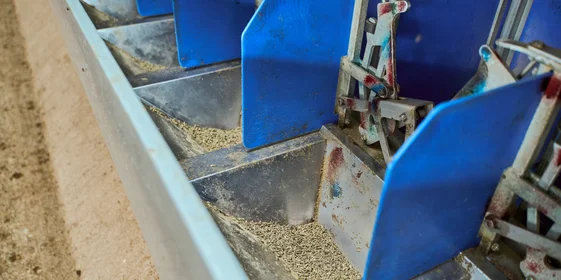 В место тысячи козлов: где и как производят альтернативный адыгейский сыр