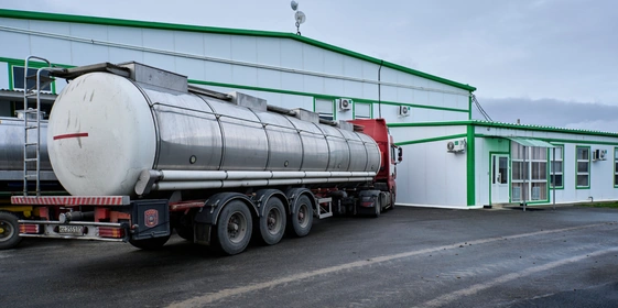 В место тысячи козлов: где и как производят альтернативный адыгейский сыр