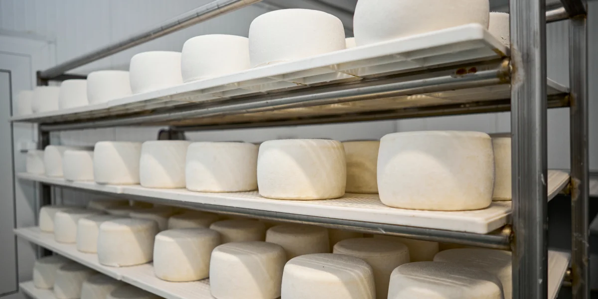 В место тысячи козлов: где и как производят альтернативный адыгейский сыр