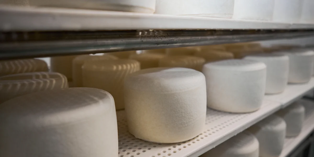 В место тысячи козлов: где и как производят альтернативный адыгейский сыр