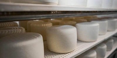 В место тысячи козлов: где и как производят альтернативный адыгейский сыр