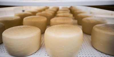 В место тысячи козлов: где и как производят альтернативный адыгейский сыр