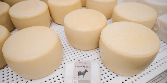 В место тысячи козлов: где и как производят альтернативный адыгейский сыр