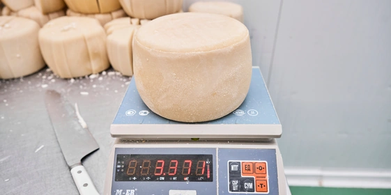 В место тысячи козлов: где и как производят альтернативный адыгейский сыр