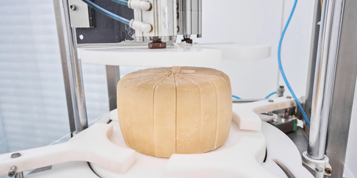 В место тысячи козлов: где и как производят альтернативный адыгейский сыр