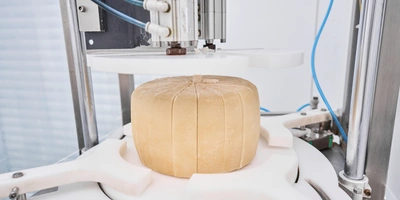 В место тысячи козлов: где и как производят альтернативный адыгейский сыр