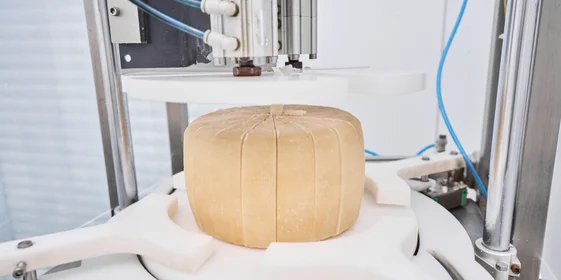 В место тысячи козлов: где и как производят альтернативный адыгейский сыр