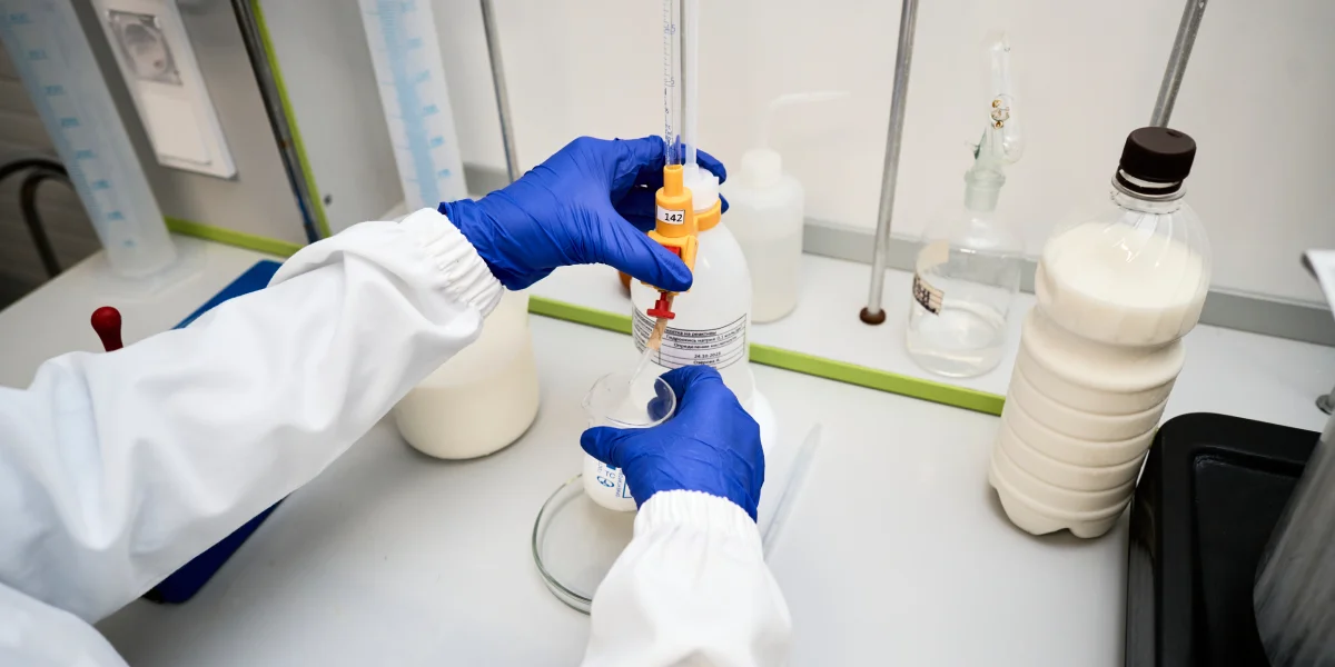 В место тысячи козлов: где и как производят альтернативный адыгейский сыр