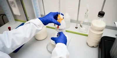 В место тысячи козлов: где и как производят альтернативный адыгейский сыр