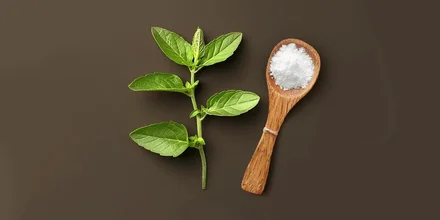 Разбираемся с экспертами: чем полезна и чем опасна может быть стевия