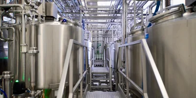 Роботизированные наследники Верещагина: где производят безлактозное масло и моцареллу