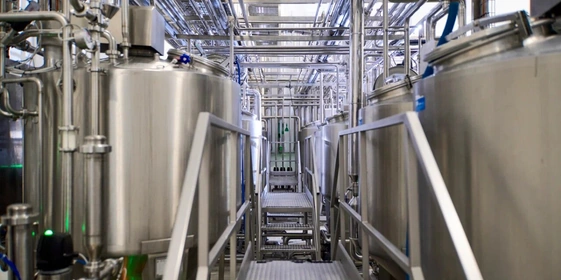 Роботизированные наследники Верещагина: где производят безлактозное масло и моцареллу