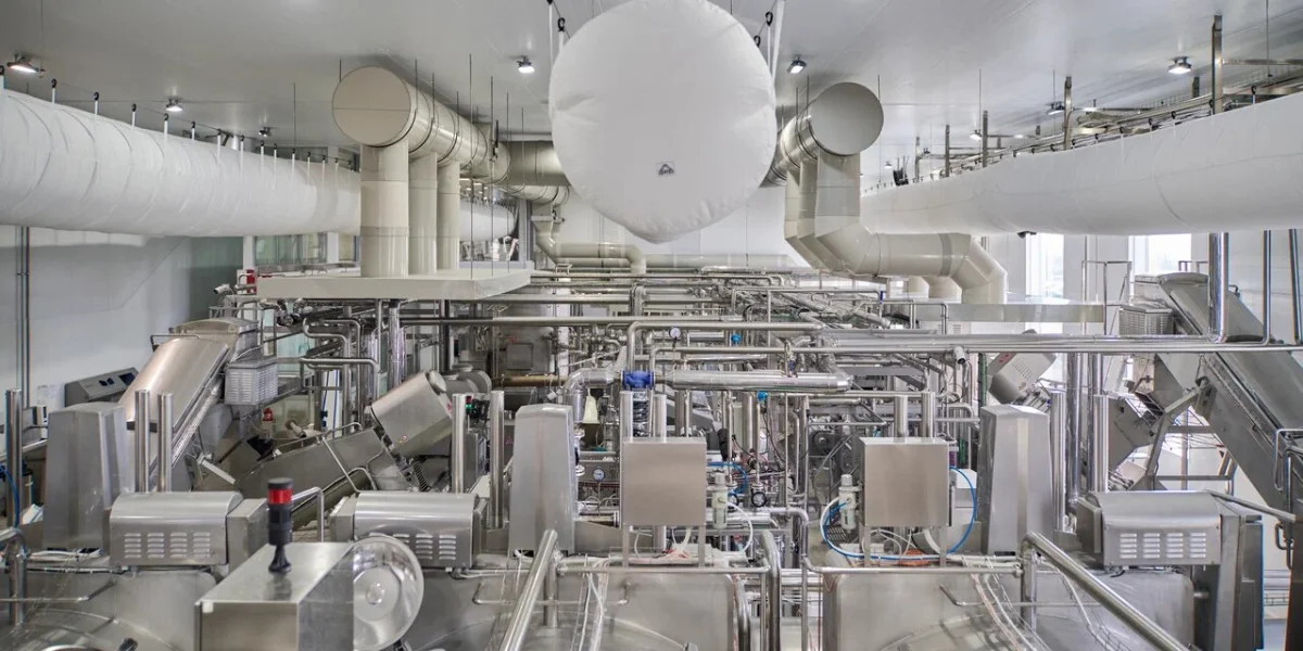 Роботизированные наследники Верещагина: где производят безлактозное масло и моцареллу