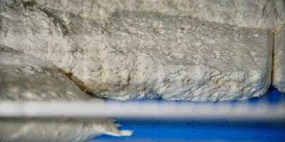 Роботизированные наследники Верещагина: где производят безлактозное масло и моцареллу