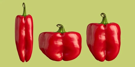 Эктоморф, мезоморф, эндоморф: как определить свой тип телосложения