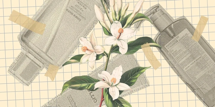 Запах роскоши: как получают дорогие и&nbsp;популярные ароматы для&nbsp;косметики