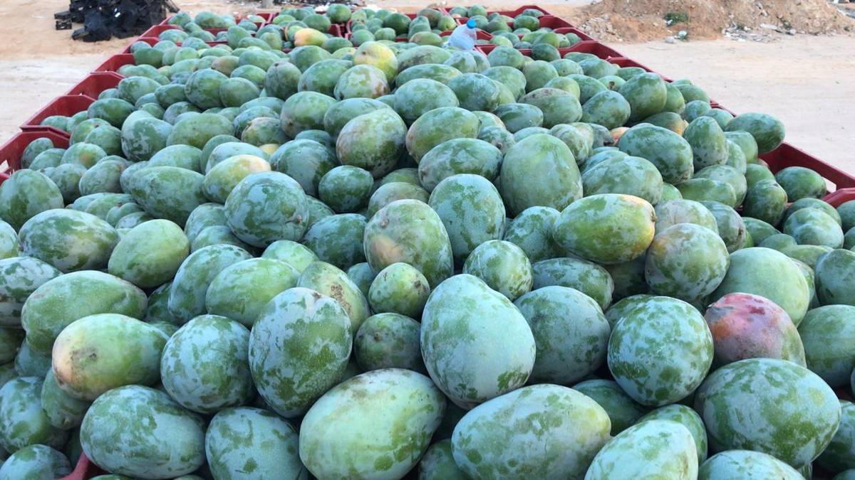 Манго из ВкусВилл
