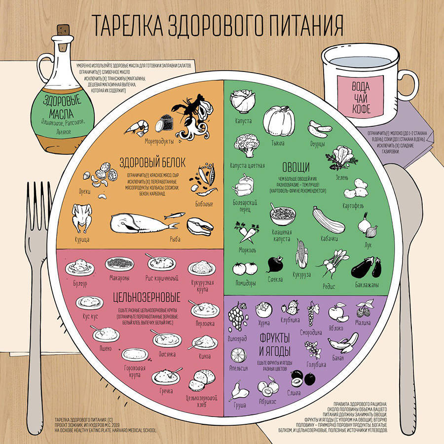 Гарвардская тарелка здорового питания