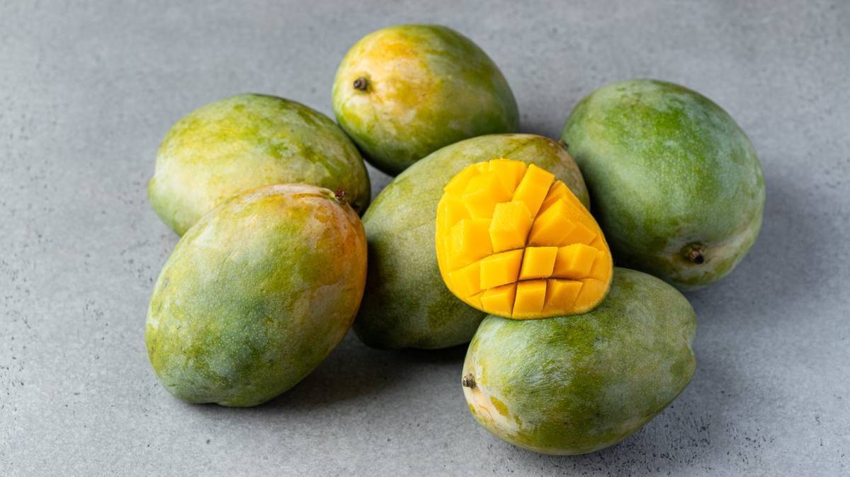 Манго фрукт полезные свойства и противопоказания. Маракуйя,манго,авокадо. Манго что за фрукт. Манго с точками на кожуре. Манго в Греции.