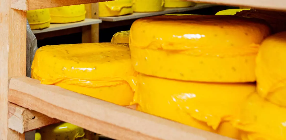 Сыр с пажитником и Белпер Кноле: секреты производства