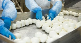 Для сырных гурманов: экскурсия на завод «Умалат»