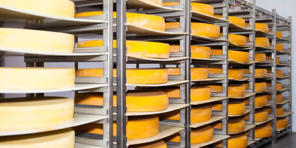 Сырный Pantone*: экскурсия на сыроварню Тульского молочного комбината